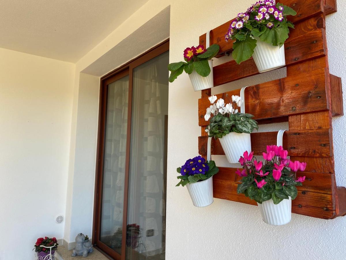 Casa Mirto Villa Olbia Eksteriør billede