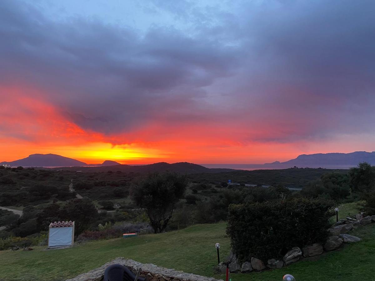 Casa Mirto Villa Olbia Eksteriør billede